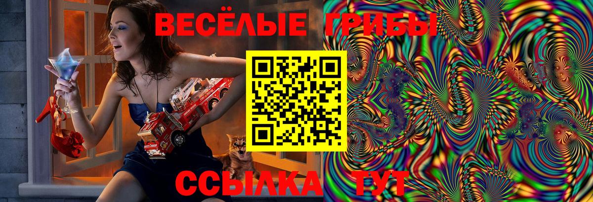Псилоцибиновые грибы Psilocybe  Вход с VPN  Чернушка 